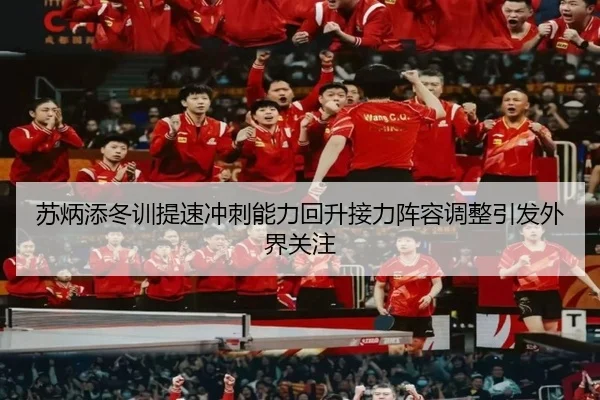 苏炳添冬训提速冲刺能力回升接力阵容调整引发外界关注